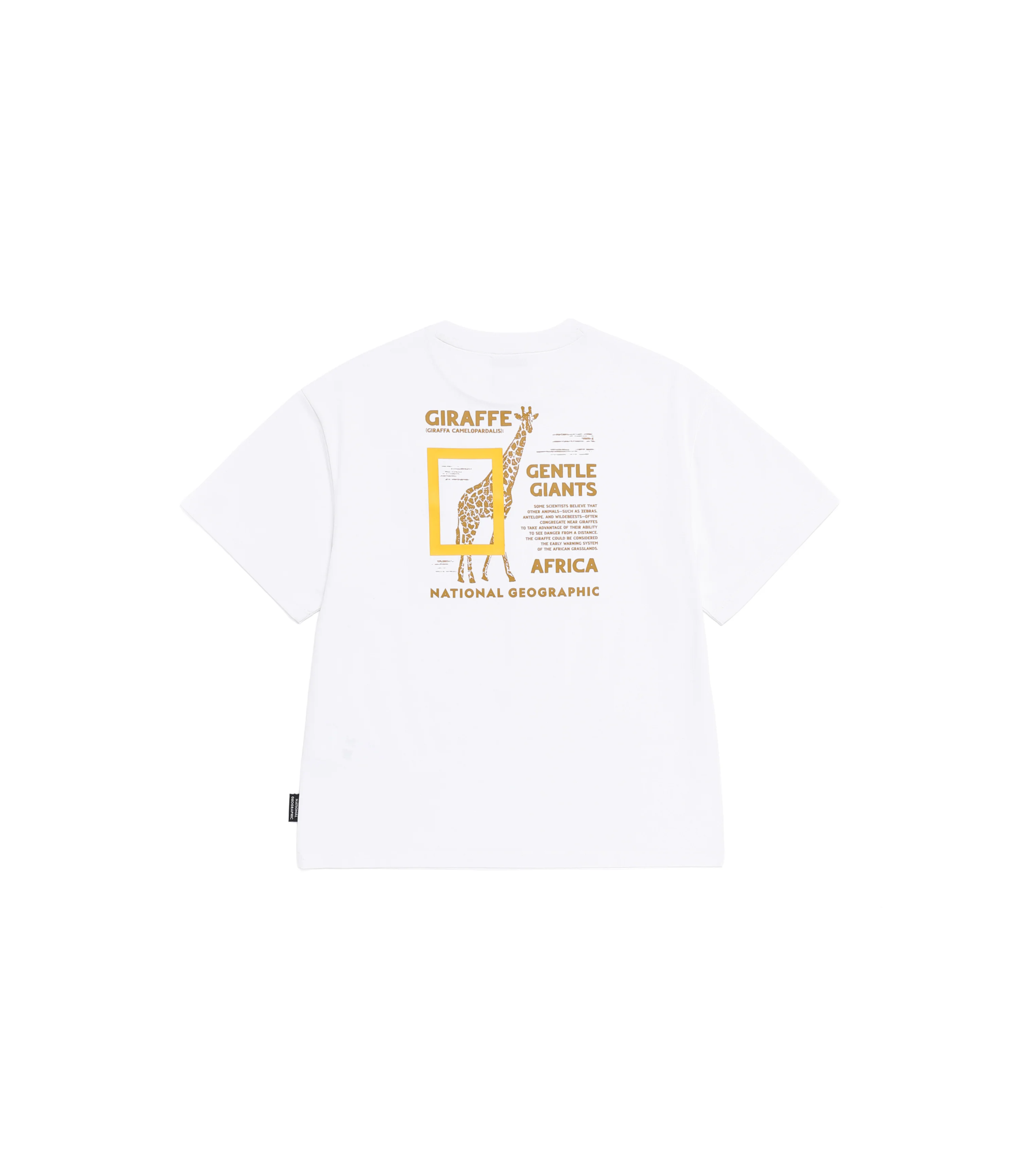 Kid's Cooling Safari Graphic Short Sleeve Tee<br>WHITE - Image 4